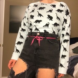 Dino pullover sweatshirt